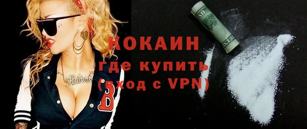 дмт Богданович