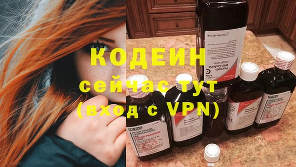 дмт Богданович