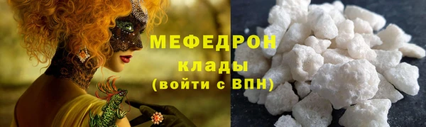 дмт Богданович