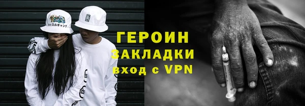 дмт Богданович