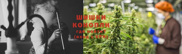 дмт Богданович