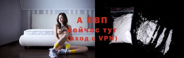 дмт Богданович