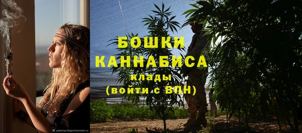 крисы Богородицк