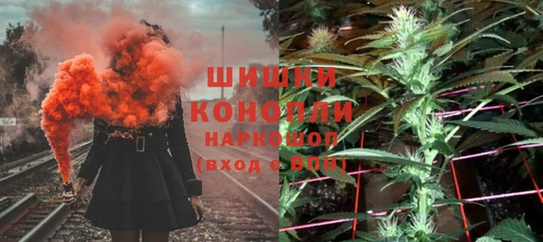 крисы Богородицк