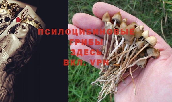мет Богородск