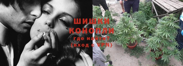 ПСИЛОЦИБИНОВЫЕ ГРИБЫ Бугульма