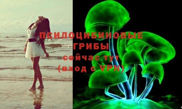крисы Богородицк