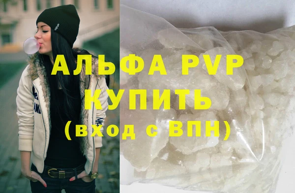 дмт Богданович