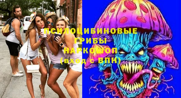 мдпв Бородино