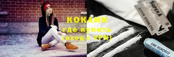 крисы Богородицк