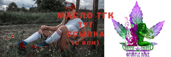 крисы Богородицк