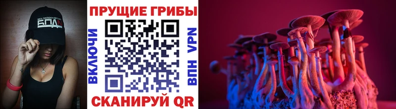 Купить где  Магас  Галлюциногенные грибы мухоморы 